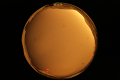 ASC_20071013_175420UT_s.png