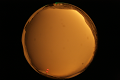 ASC_20071013_180120UT_s.png