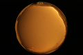 ASC_20071013_180350UT_s.png