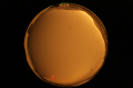 ASC_20071013_180420UT_s.png