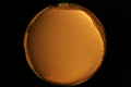 ASC_20071013_180550UT_s.png