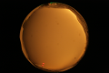 ASC_20071013_180620UT_s.png