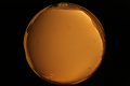 ASC_20071013_180950UT_s.png