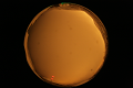 ASC_20071013_181150UT_s.png