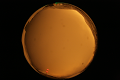 ASC_20071013_181350UT_s.png