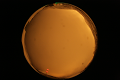 ASC_20071013_182020UT_s.png