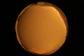 ASC_20071013_182150UT_s.png