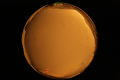 ASC_20071013_182350UT_s.png