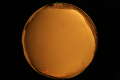 ASC_20071013_182450UT_s.png