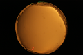 ASC_20071013_182550UT_s.png