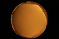 ASC_20071013_182650UT_s.png