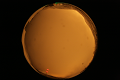 ASC_20071013_182850UT_s.png