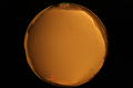 ASC_20071013_183050UT_s.png