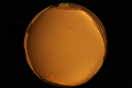 ASC_20071013_184020UT_s.png