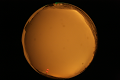 ASC_20071013_184120UT_s.png