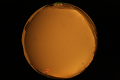 ASC_20071013_184520UT_s.png