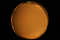 ASC_20071013_184620UT_s.png