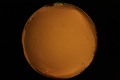 ASC_20071013_203720UT_s.png