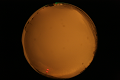 ASC_20071013_203750UT_s.png