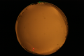 ASC_20071013_203820UT_s.png