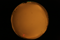 ASC_20071013_203850UT_s.png