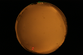 ASC_20071013_203950UT_s.png