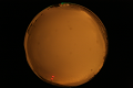 ASC_20071013_204050UT_s.png