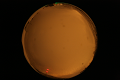 ASC_20071013_204120UT_s.png