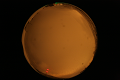 ASC_20071013_204252UT_s.png