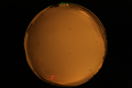 ASC_20071013_204422UT_s.png