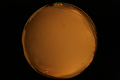 ASC_20071013_204452UT_s.png