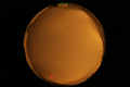 ASC_20071013_210252UT_s.png