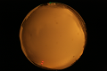 ASC_20071013_210452UT_s.png