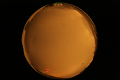 ASC_20071013_210750UT_s.png