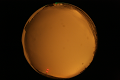 ASC_20071013_211450UT_s.png