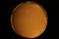 ASC_20071013_211652UT_s.png