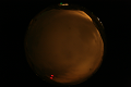 ASC_20071016_200152UT_s.png