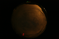 ASC_20071016_210120UT_s.png