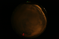 ASC_20071016_215952UT_s.png