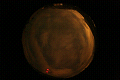 ASC_20071110_211424UT_s.png