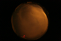 ASC_20071111_040054UT_s.png