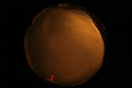 ASC_20071111_040424UT_s.png